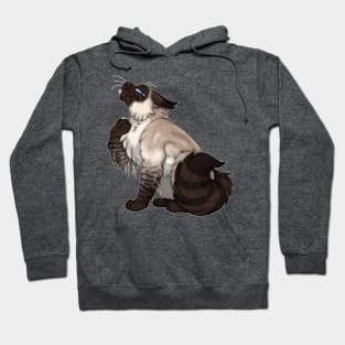 Seal Lynx Point Longhair Hoodie